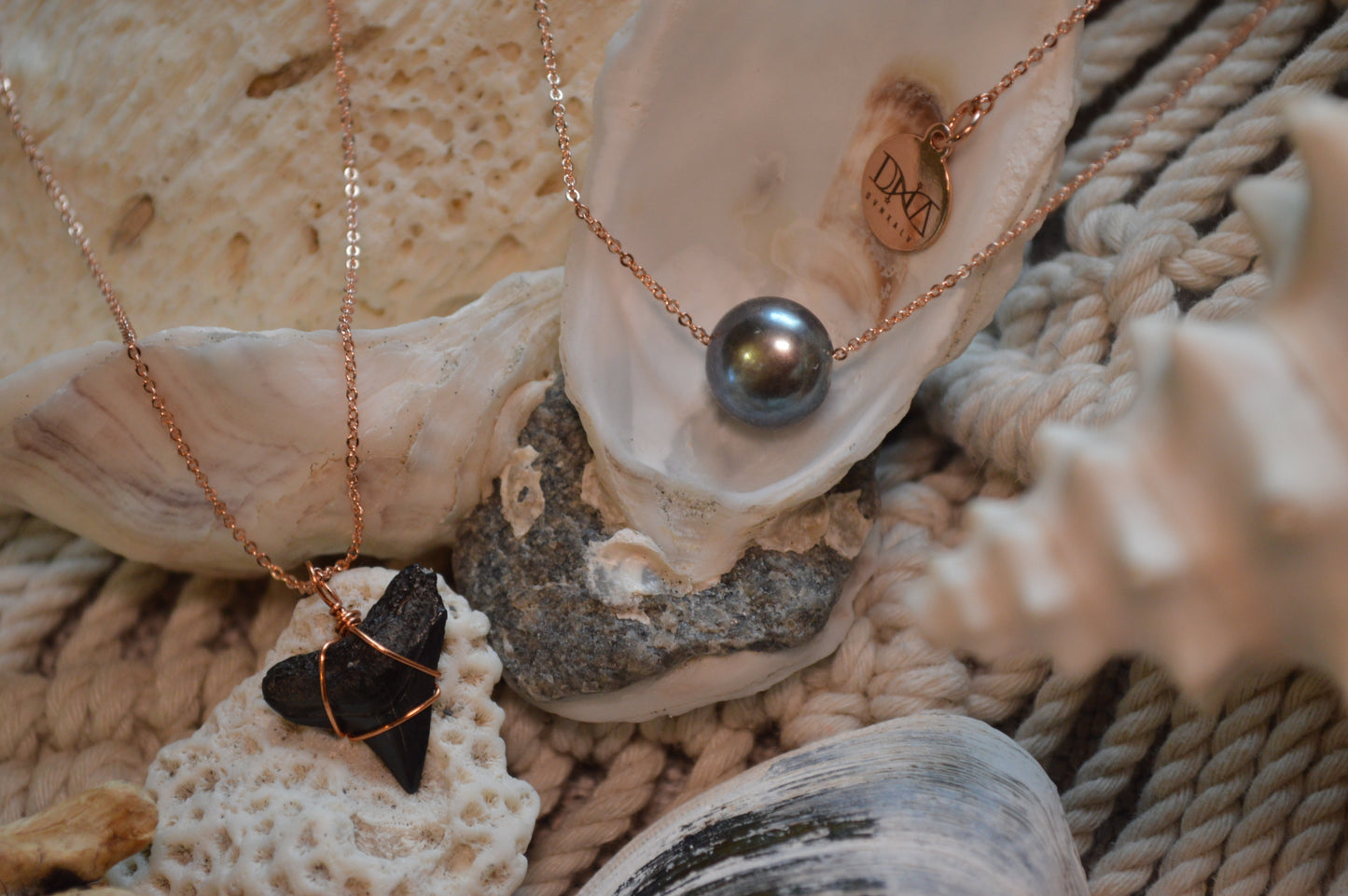 The Local's Shark Tooth on 18” Chain w/ Adjustable Slide Bead