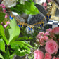 18" Social Butterfly Mood Necklace